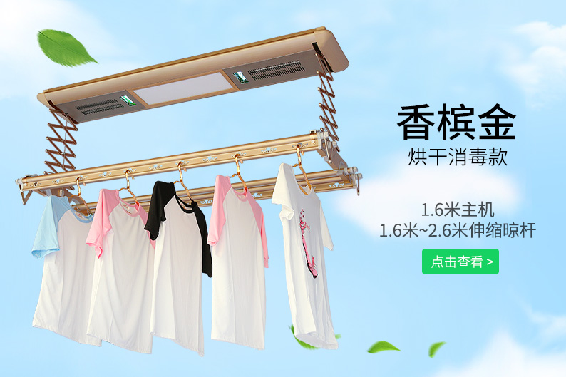 香檳金熱風烘干消毒電動晾衣架
